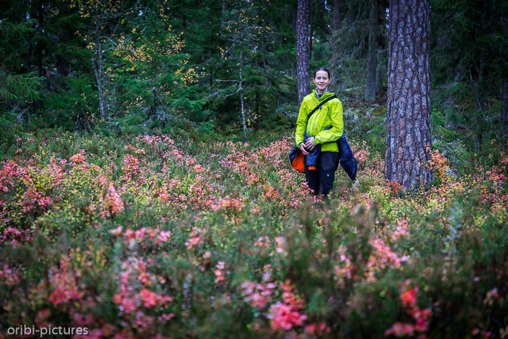 *Norra Kvills Nationalpark*<br><br><br><br>