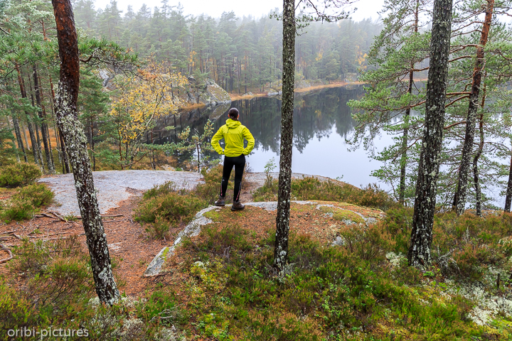 *Tivedens Nationalpark*<br><br><br><br>