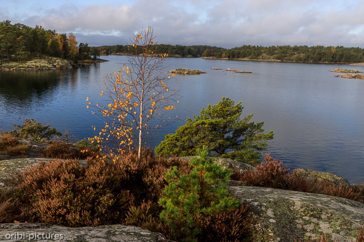 *Südschweden und Umgebung von Stockholm, 2019*<br><br><br><br>