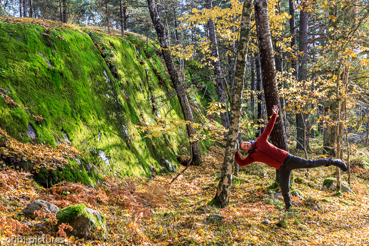 *Südschweden und Umgebung von Stockholm, 2019*<br><br><br><br>