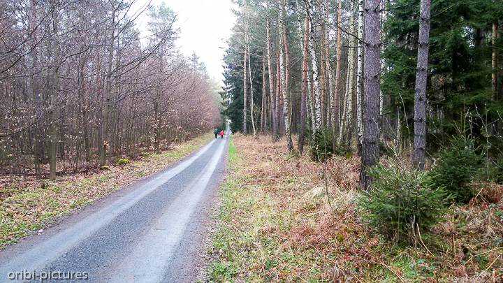 *Unterwegs auf dem Forststeig an der deutsch-tschechischen Grenze*<br><br><br><br>