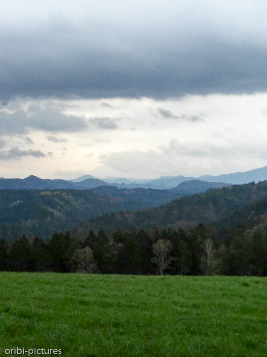 *Unterwegs auf dem Forststeig an der deutsch-tschechischen Grenze*<br><br><br><br>