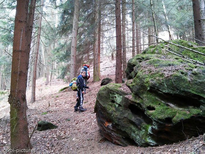*Unterwegs auf dem Forststeig an der deutsch-tschechischen Grenze*<br><br><br><br>
