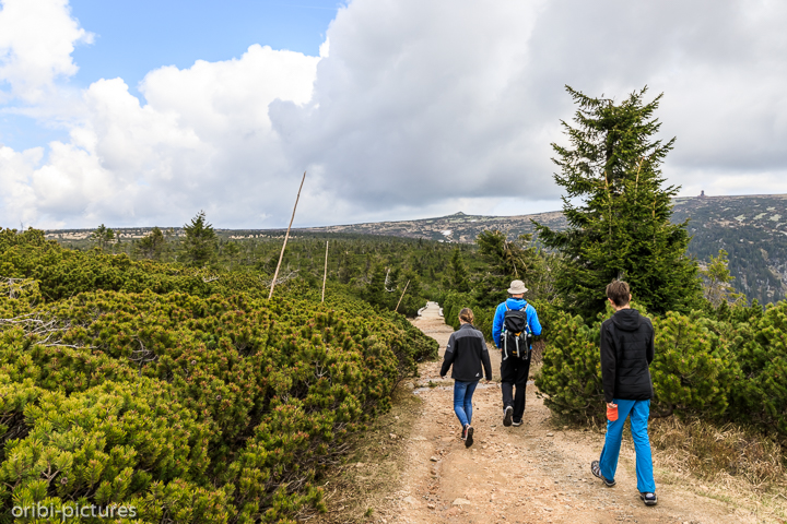 *Riesengebirge*<br><br><br><br>