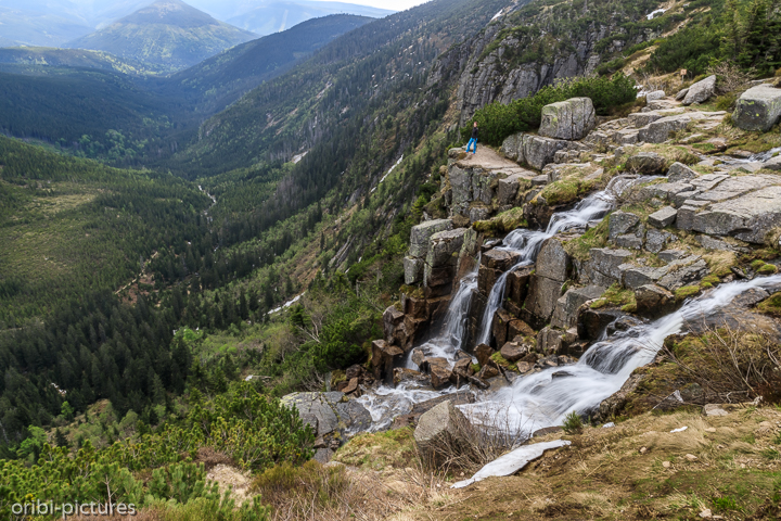 *Pantschefall*<br><br><br><br>