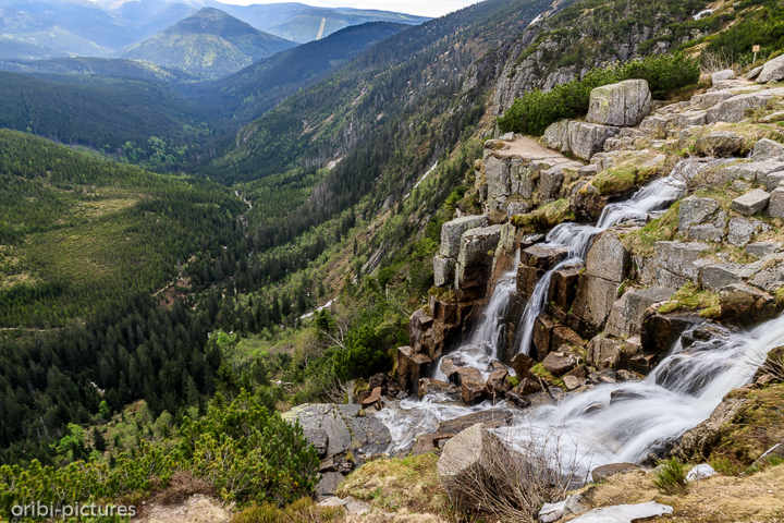 *Pantschefall*<br><br><br><br>