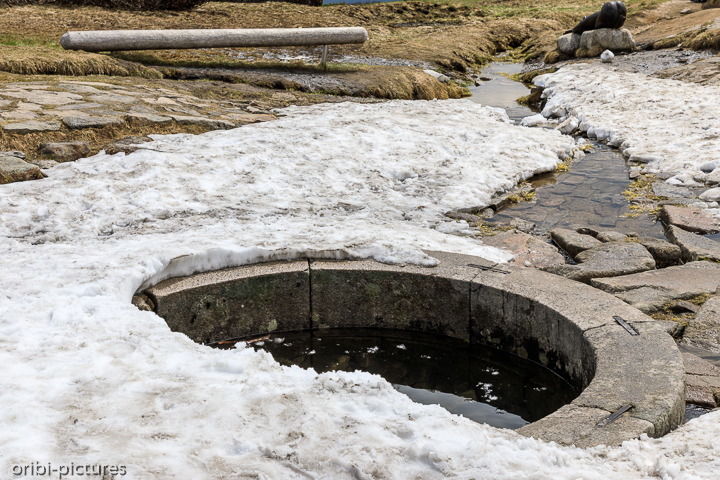 *An der Elbe-Quelle*<br><br><br><br>