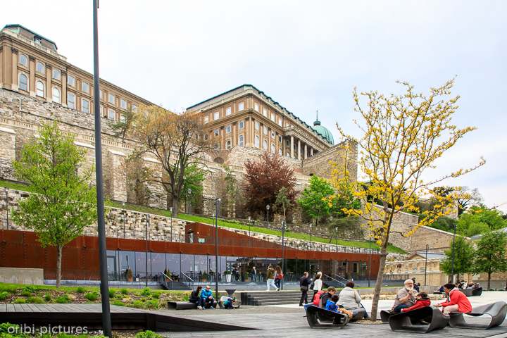 *Budapest*<br><br><br><br>